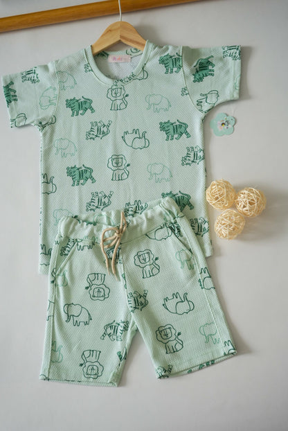 SET ZOOLANDIA 🦁